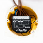 Shelly Wave 2PM - image 4