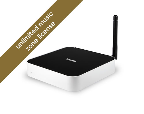 Core Mini - unlimited music zone license