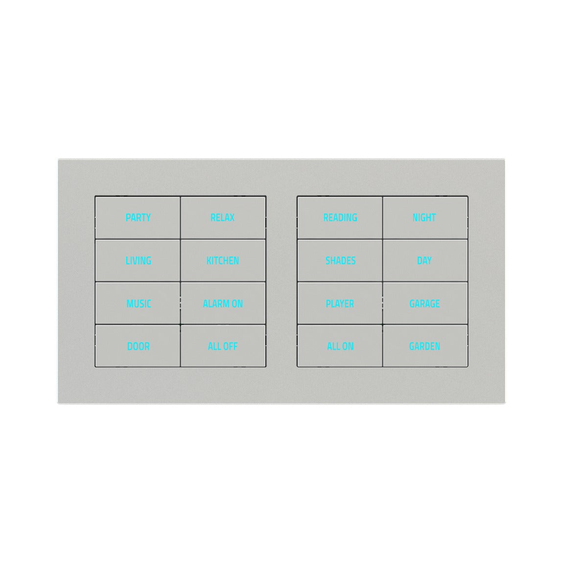Ekinex EK-D2S plate – Technopolymer Silver (GAG)