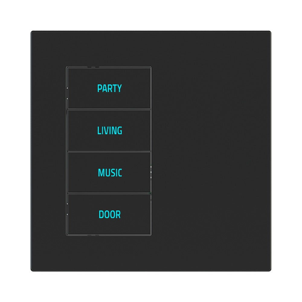 Ekinex EK-DQT plate – Fenix NTM Black Ingo (FNI)